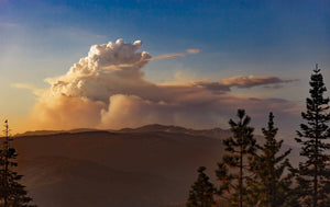 Pyro Cumulous Cloud