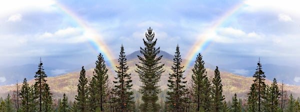 J_V Rainbow Mirrored